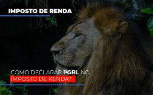 Ir2020:como Declarar Pgbl No Imposto De Renda Notícias E Artigos Contábeis - Terceirização Financeira | Hands Financeiro