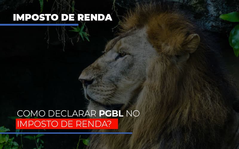 Ir2020:como Declarar Pgbl No Imposto De Renda Notícias E Artigos Contábeis - Terceirização Financeira | Hands Financeiro