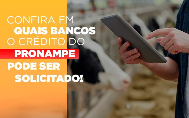 Confira Em Quais Bancos O Credito Pronampe Ja Pode Ser Solicitado - Terceirização Financeira | Hands Financeiro